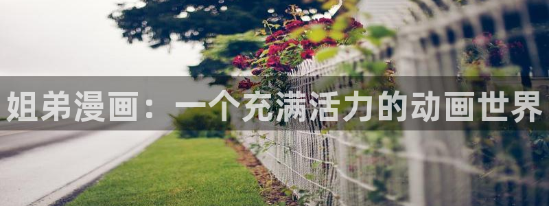 虫虫动画片