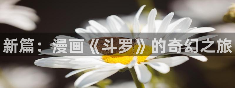 虫虫3d漫画：新篇：漫画《斗罗》的奇幻之旅