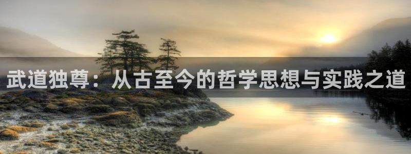 虫虫漫画怎么免费看全集：武道独尊：从古至今的哲学思想与实践之道