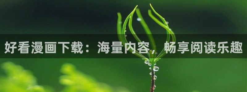 虫虫漫画类似：好看漫画下载：海量内容，畅享阅读乐趣