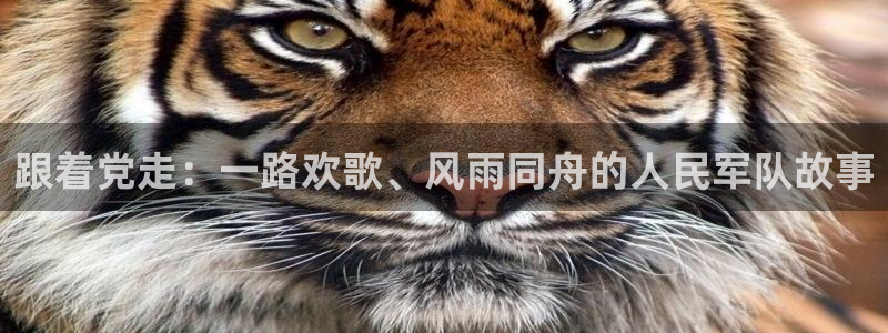 虫虫漫画韩漫大全：跟着党走：一路欢歌、风雨同舟的人民军队故事