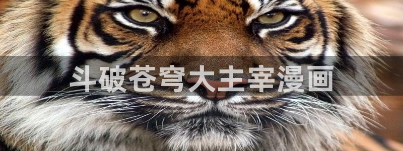 虫虫漫画免费视频：斗破苍穹大主宰漫画