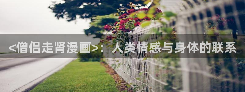 龙王传说漫画虫虫漫画：<僧侣走肾漫画>：人类情感与身体的联系