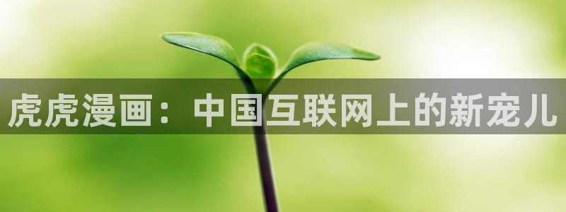 虫虫漫画免费观：虎虎漫画：中国互联网上的新宠儿