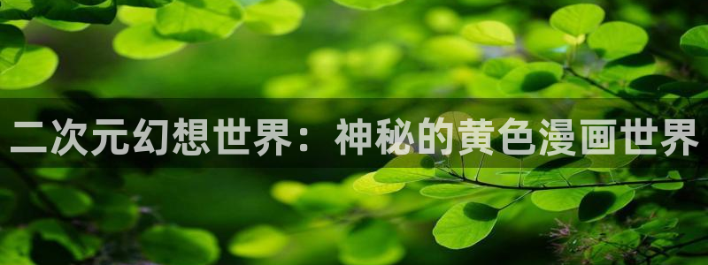 虫虫漫画入口免费：二次元幻想世界：神秘的黄色漫画世界