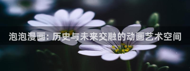 虫虫漫画大全：泡泡漫画: 历史与未来交融的动画艺术空间