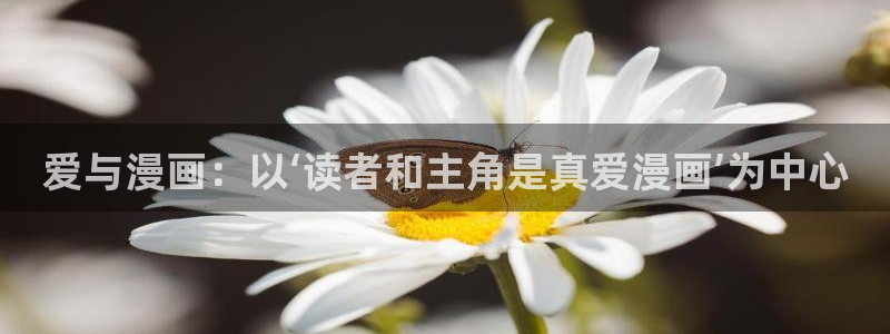 虫虫漫画末日中的母亲：爱与漫画：以‘读者和主角是真爱漫画’为中心