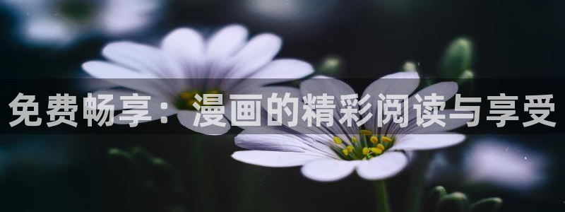 虫虫漫画免费漫画在线看漫画弹窗：免费畅享：漫画的精彩阅读与享受