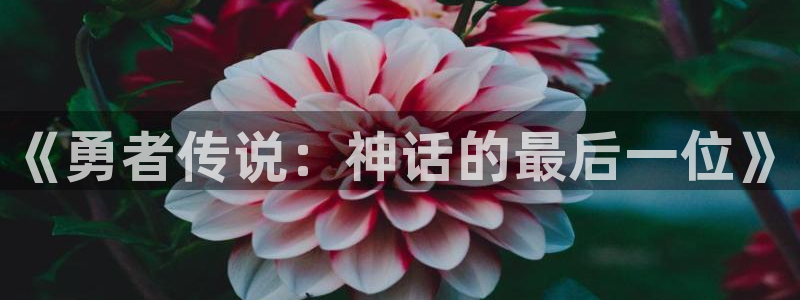 虫虫漫画网在线：《勇者传说：神话的最后一位》