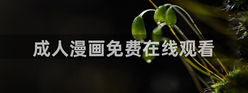 虫虫漫画官网：成人漫画免费在线观看