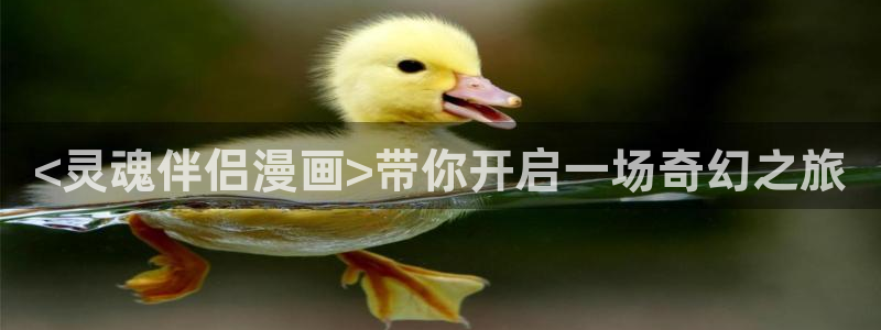 虫虫漫画的网址：<灵魂伴侣漫画>带你开启一场奇幻之旅