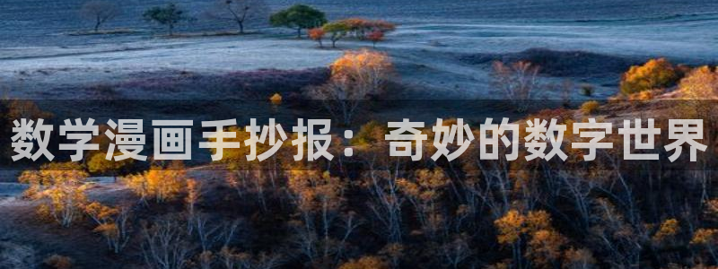 虫虫漫画开心网：数学漫画手抄报：奇妙的数字世界