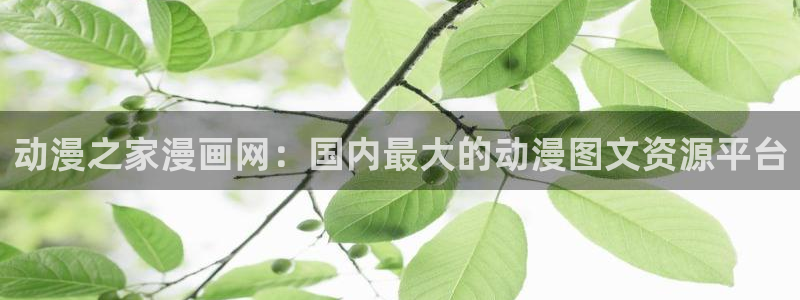 虫虫漫画在线acg：动漫之家漫画网：国内最大的动漫图文资源平台