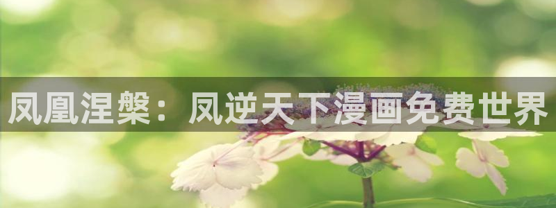 虫虫漫画免费观看漫画