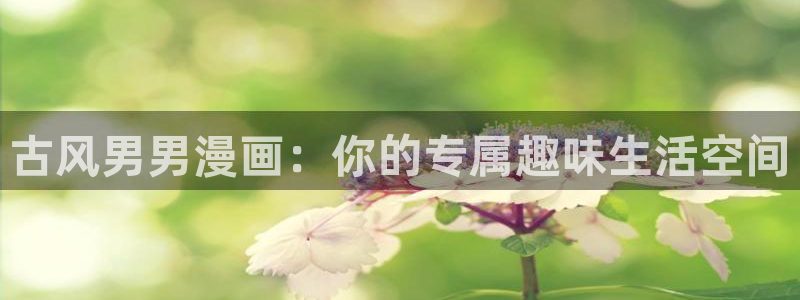 虫虫漫画图