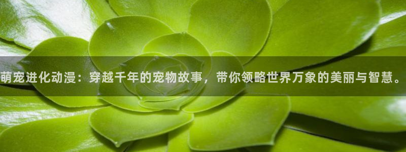 韩漫虫虫漫画：萌宠进化动漫：穿越千年的宠物故事，带你领略世界万象的美丽与智慧。