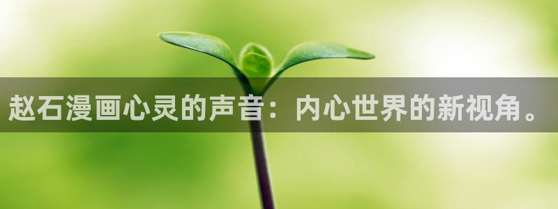 虫虫漫画网站入口：赵石漫画心灵的声音：内心世界的新视角。