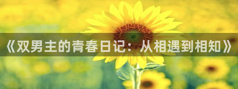 虫虫漫画免费阅读看漫画下拉：《双男主的青春日记：从相遇到相知》