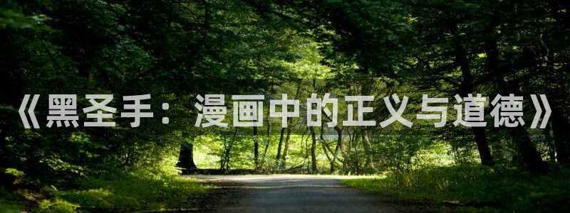 虫虫漫画里的都是什么：《黑圣手：漫画中的正义与道德》